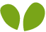 https://www.marcondirondello.it/wp-content/uploads/2022/04/green_leaf.png