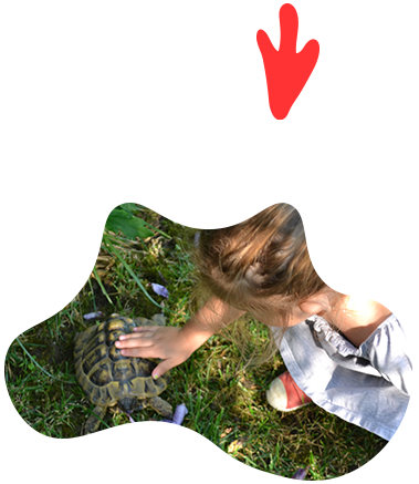 https://www.marcondirondello.it/wp-content/uploads/2025/01/Nido_Floating.png