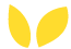 https://www.marcondirondello.it/wp-content/uploads/2025/01/floating_seeds.png